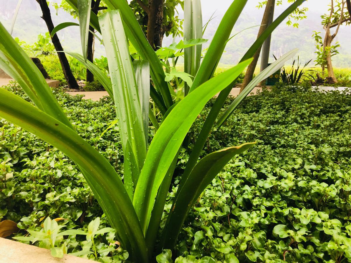 Trang An Nature House Ninh Binh Zewnętrze zdjęcie